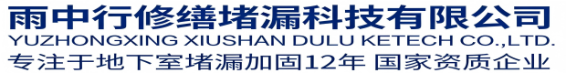 郴州雨中行修缮堵漏科技有限公司